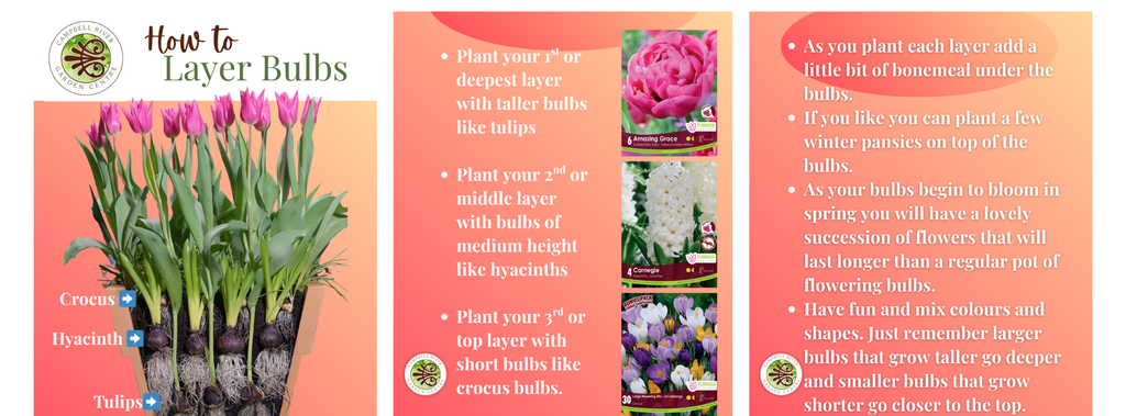 Layer Spring Bulbs How to Layer Plant Your Spring Blooming Bulbs | Campbell River Garden ...