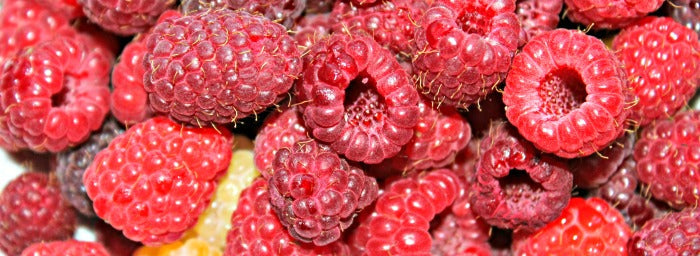Super Fruits to grow in your garden